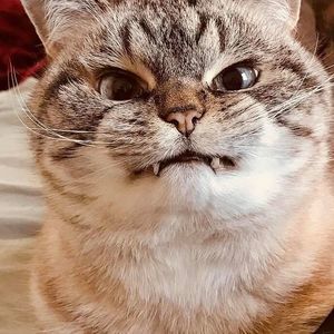 Meet your Posher, Brigitte